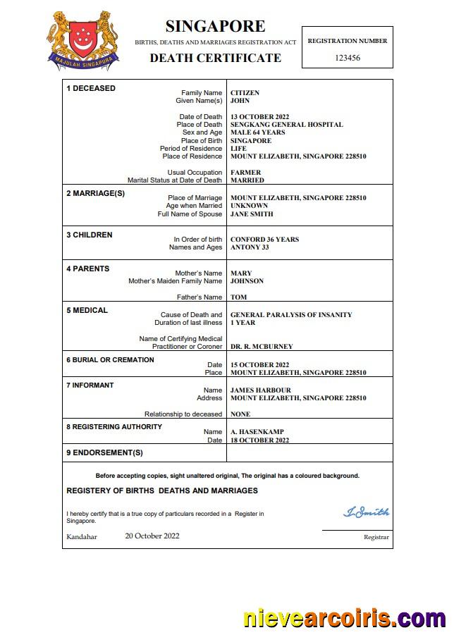 Singapore vital record death certificate